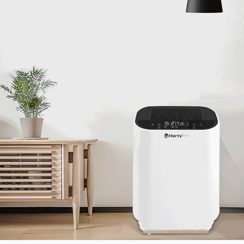 Simple Household Negative Ion Air Purifier