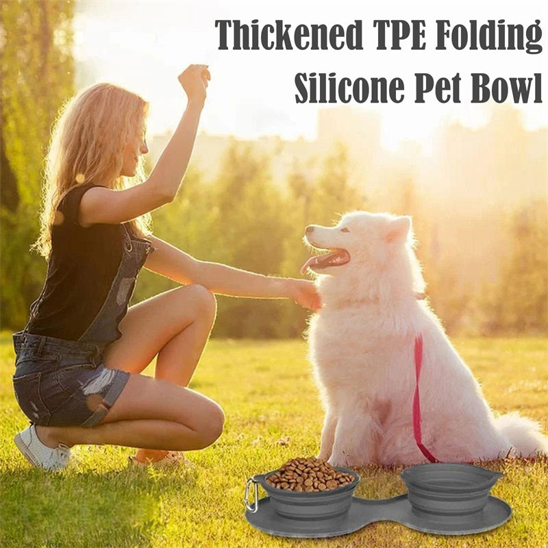 Double Bowl Pet Feeding Bowl Pets