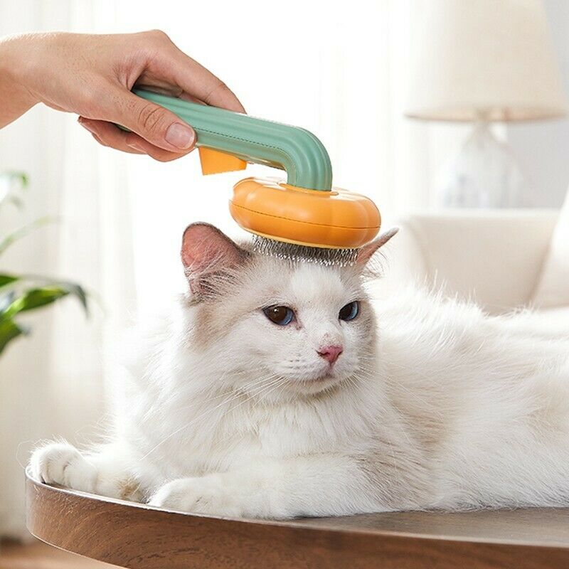 Pet Pumpkin Brush For Dogs Cats Puppy Rabbit Brush