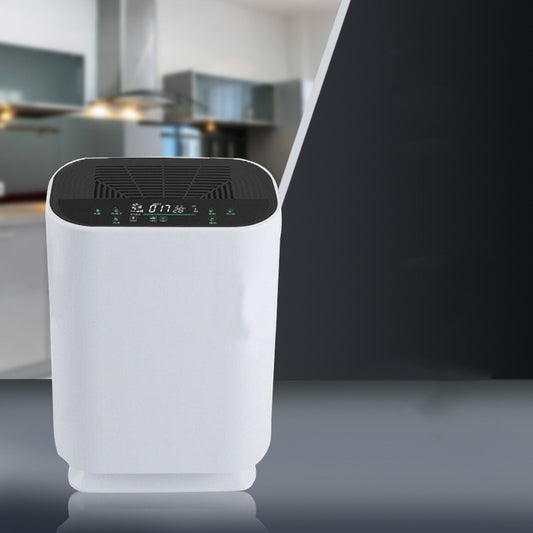 Simple Household Negative Ion Air Purifier